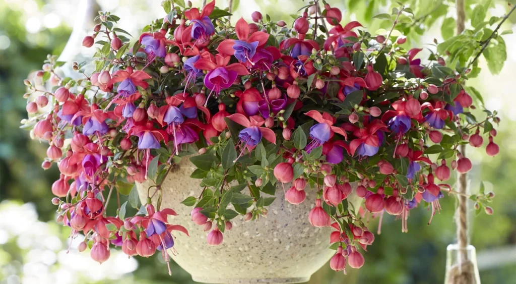 Atraindo Beija-Flores: Plantas que Complementam o Brinco-de-Princesa