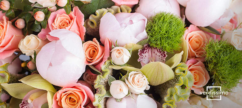 dicas de adubação para floração