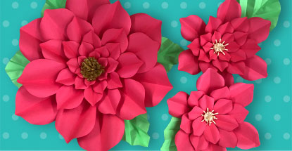 espécies de flores que florescem o ano todo