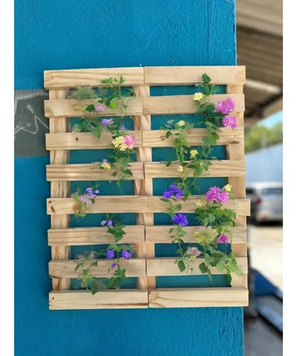 Guia completo de cuidados para Hortênsias e Azaleias sob Pinus