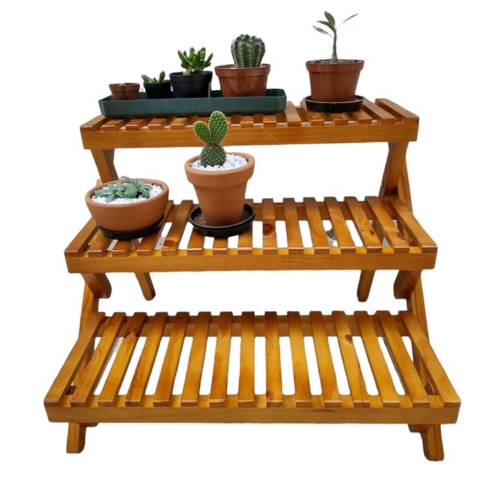 Plantas resistentes ao sol para complementar seu jardim de Pinus