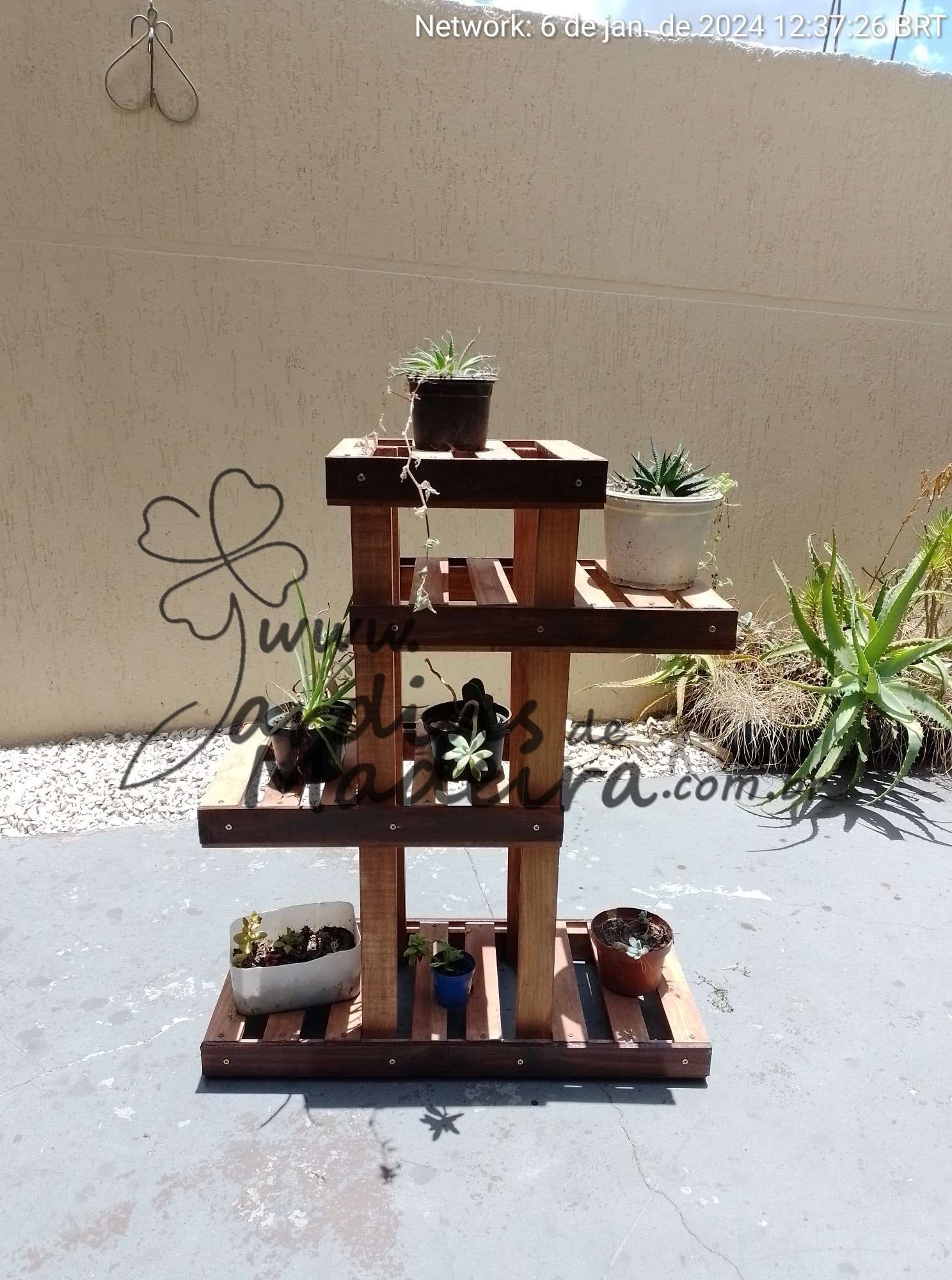 Manejo do pH do solo para otimizar o crescimento de flores sob Pinus