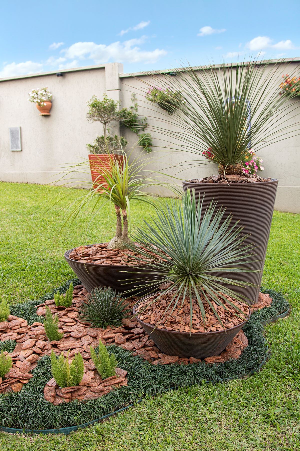 flores para jardim com pinus 2