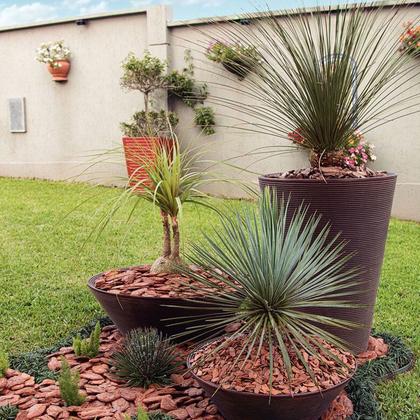 Como Medir e Ajustar o pH do Solo para Suas Plantas Ácidas