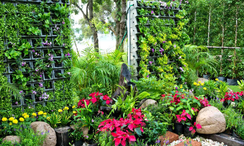 Plantas que Amam a Sombra: Opções Além dos Pinheiros