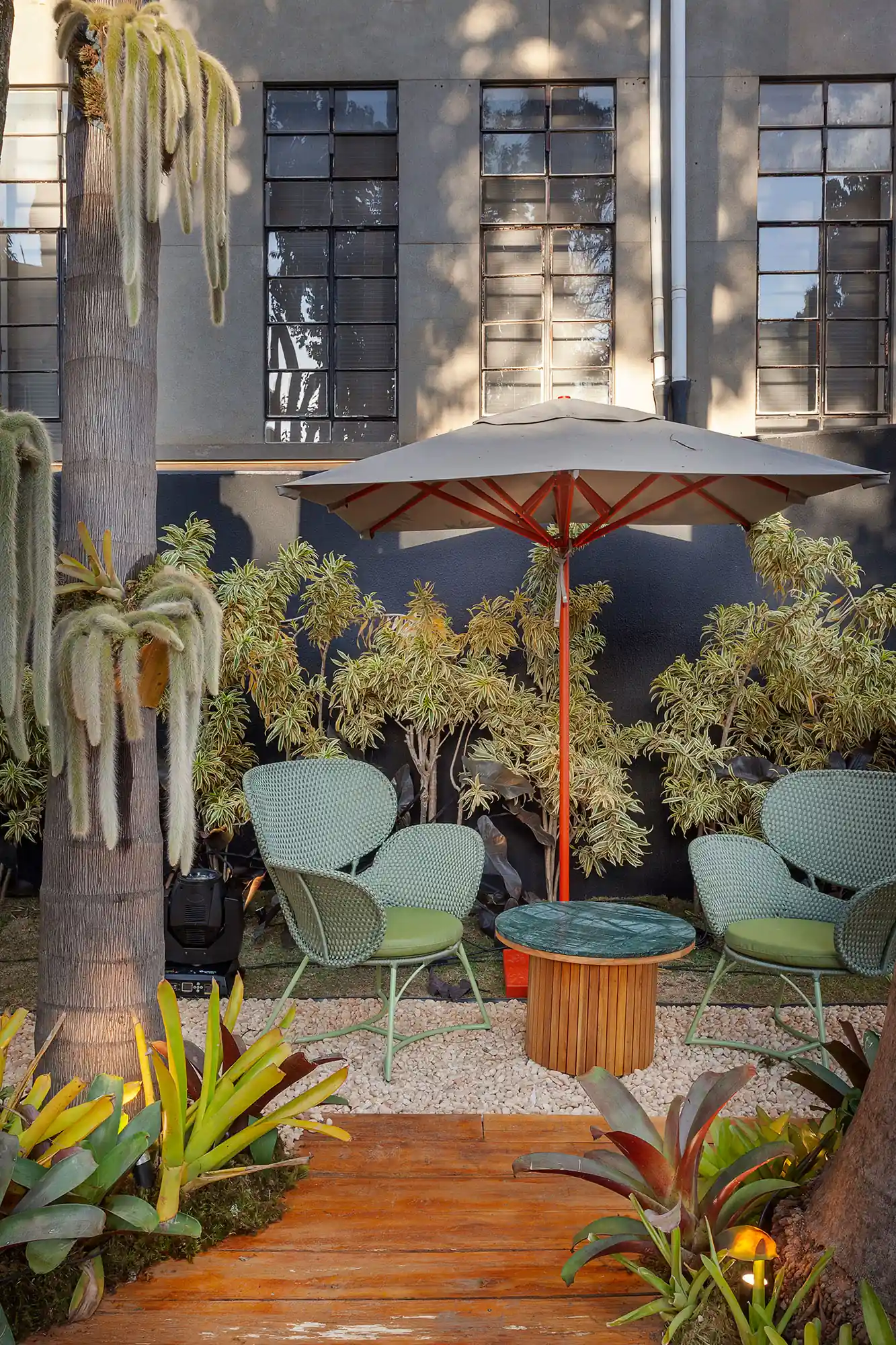 Flores para o Ano Todo: Escolhas para Solos Ácidos e Sombra