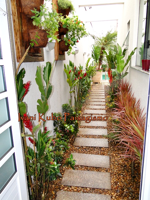 flores para jardim com pinus 2