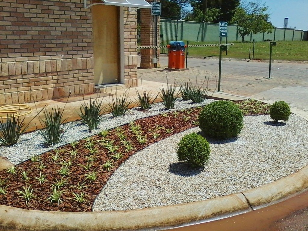 Guia completo de cuidados para Hortênsias e Azaleias sob Pinus