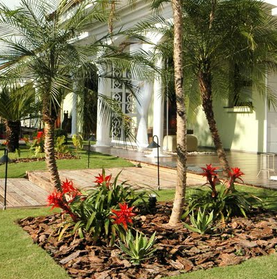 Manejo do pH do solo para otimizar o crescimento de flores sob Pinus