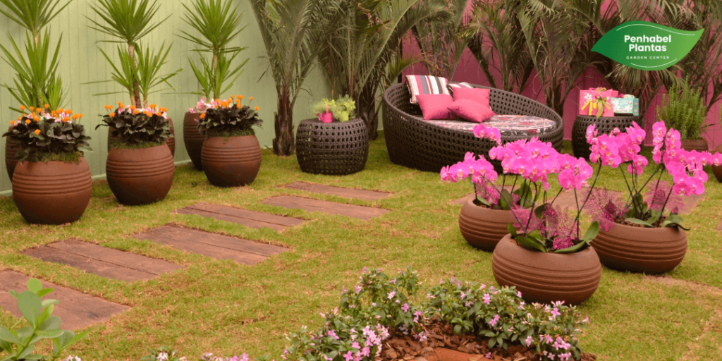 anturio ou lirio da paz para sol da manha