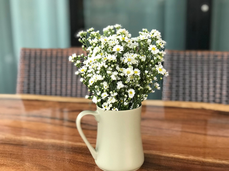 jardim de verão com flores resistentes