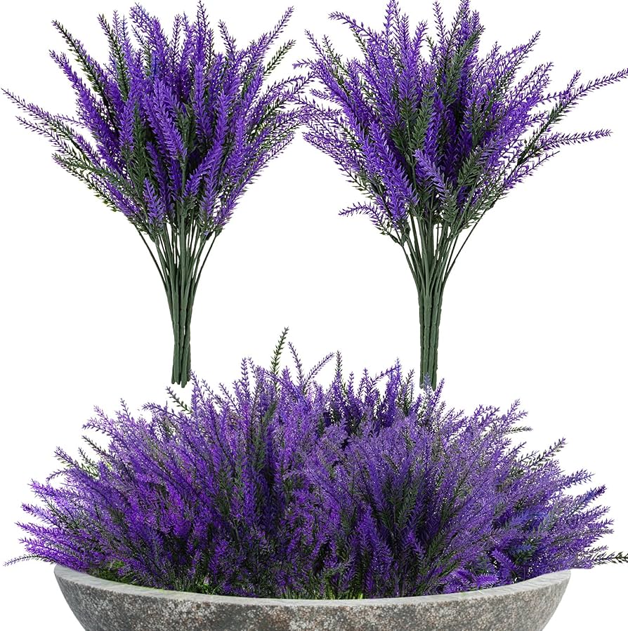 Trapoeraba Roxa: A Folhagem Exuberante para Entradas