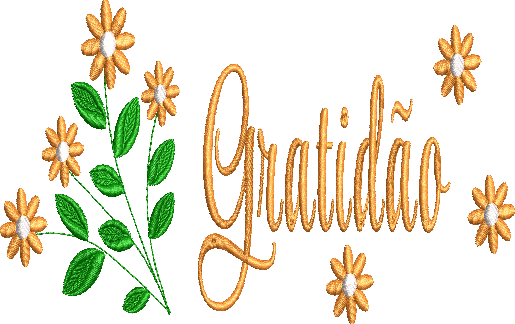 Orquídeas e Tulipas: Descubra as Flores Perfeitas para Expressar Agradecimento