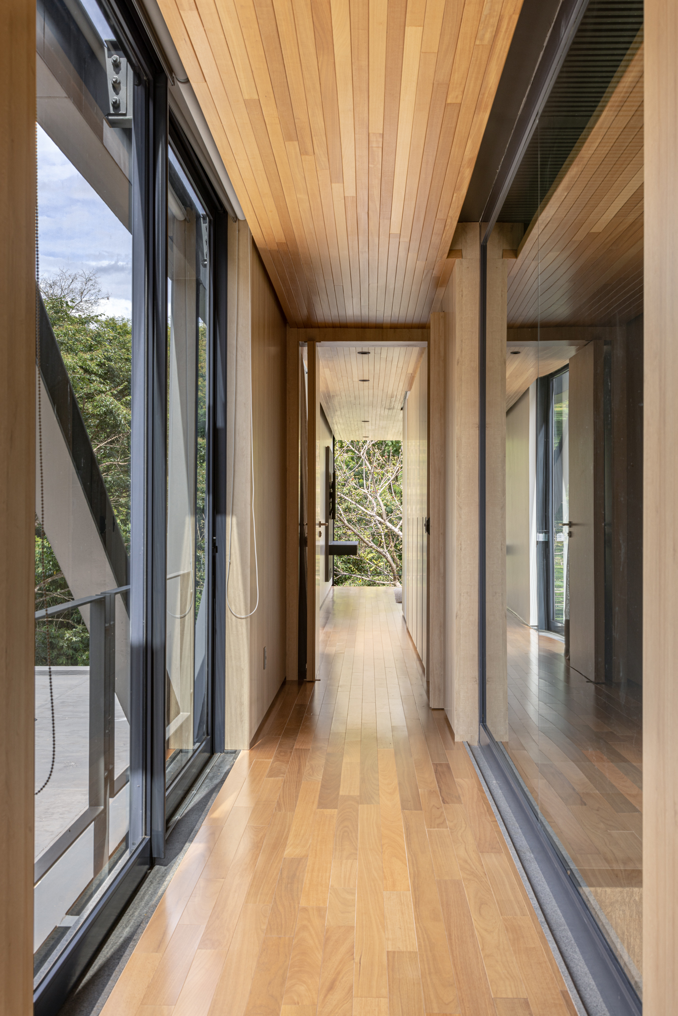 comprar forro tauari online