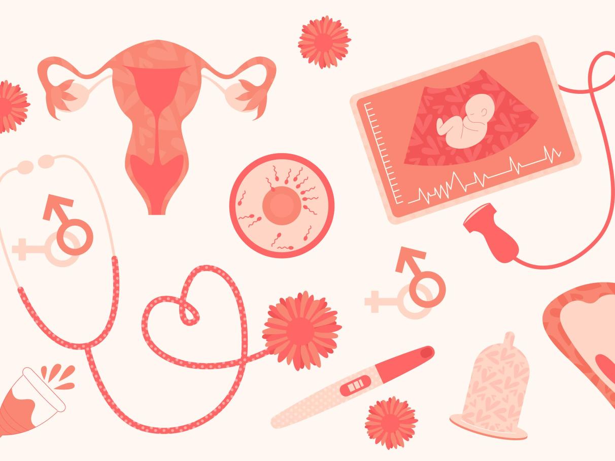 Nidação e Menstruação: Um Guia Visual para Diferenciar