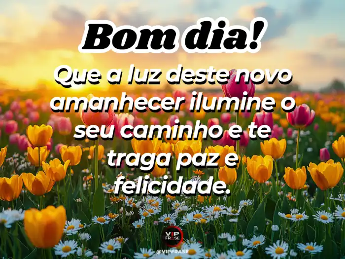 frases lindas de bom dia