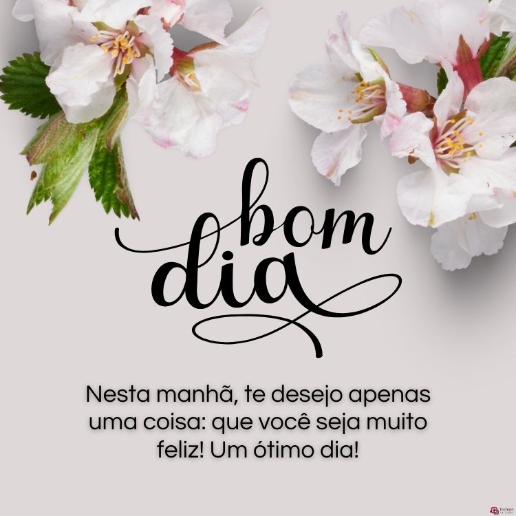 As Melhores Frases de Bom Dia para Status do Instagram e Facebook
