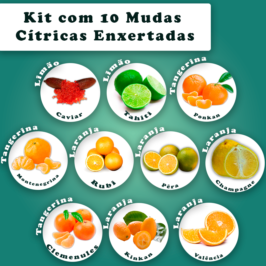 frutas cítricas