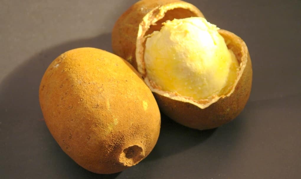 Como Cultivar Frutas Nativas em Casa: Dicas e Cuidados