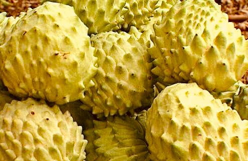 Descobrindo o Cerrado: As Frutas Nativas que Você Precisa Conhecer