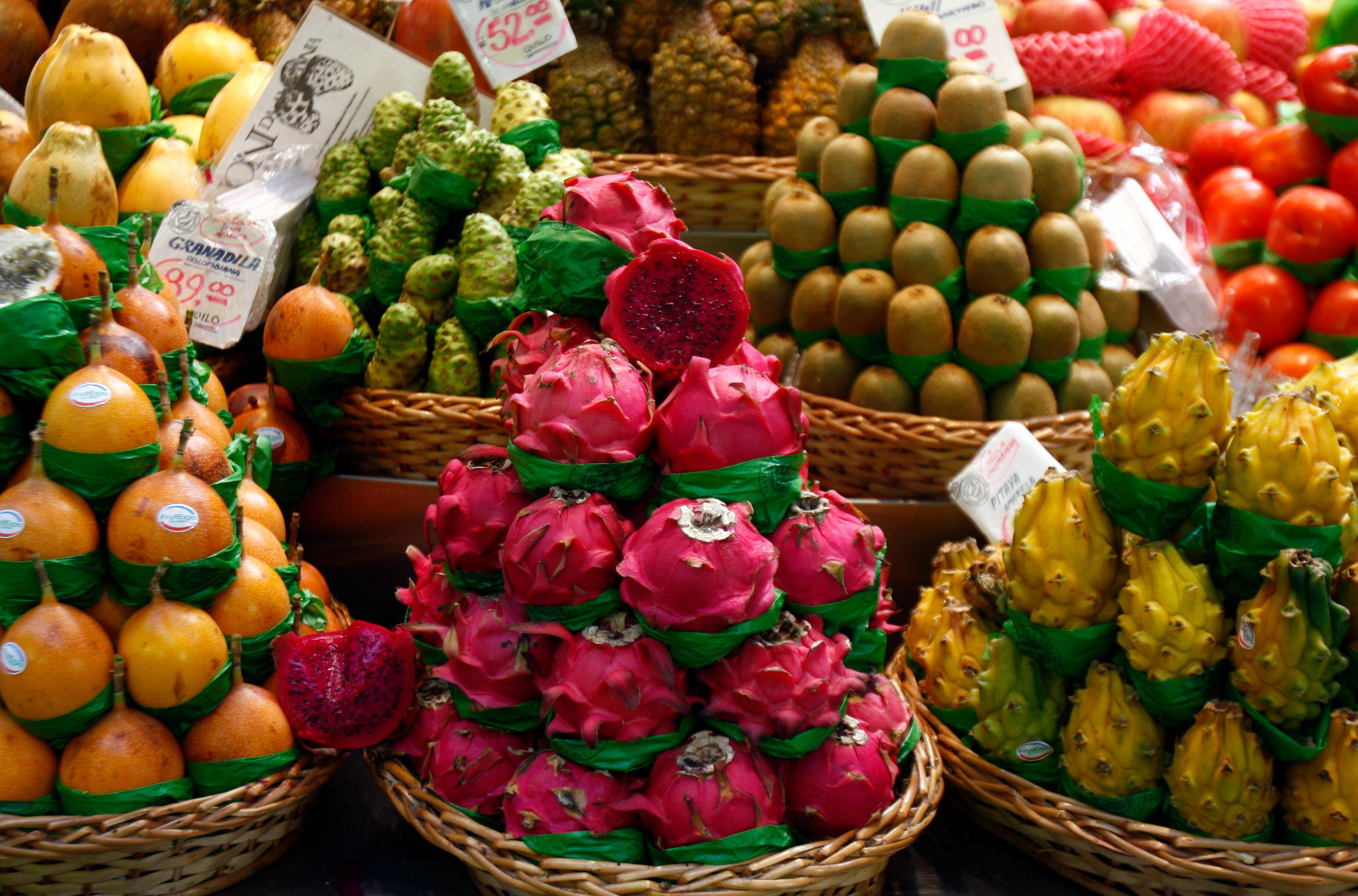 Pitaya: A Fruta do Dragão e Seus Segredos