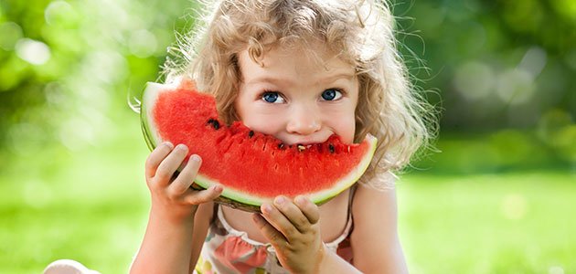 Pitanga e Pitomba: Frutas Típicas do Nordeste que Você Precisa Conhecer