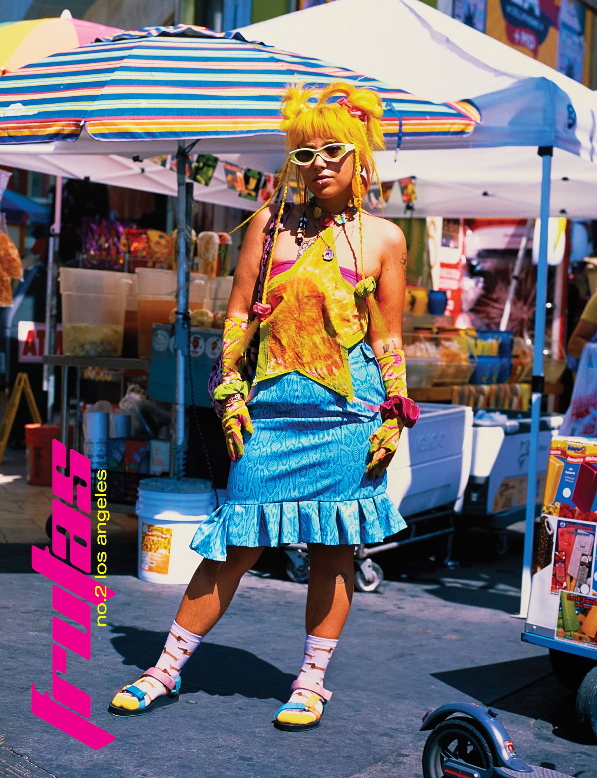 Pitaya: A Fruta do Dragão e Seus Segredos