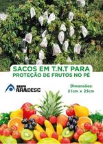 Pitaya: A Fruta do Dragão e Seus Segredos