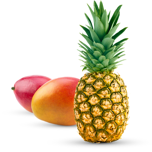 Pitanga e Pitomba: Frutas Típicas do Nordeste que Você Precisa Conhecer