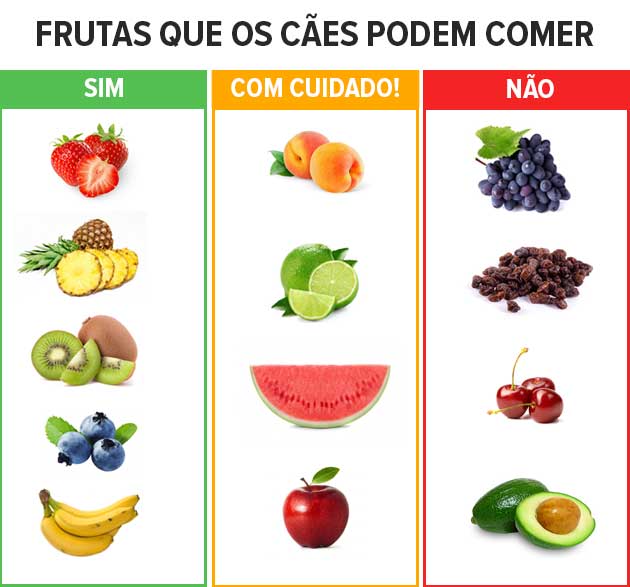 frutas que cachorros podem comer