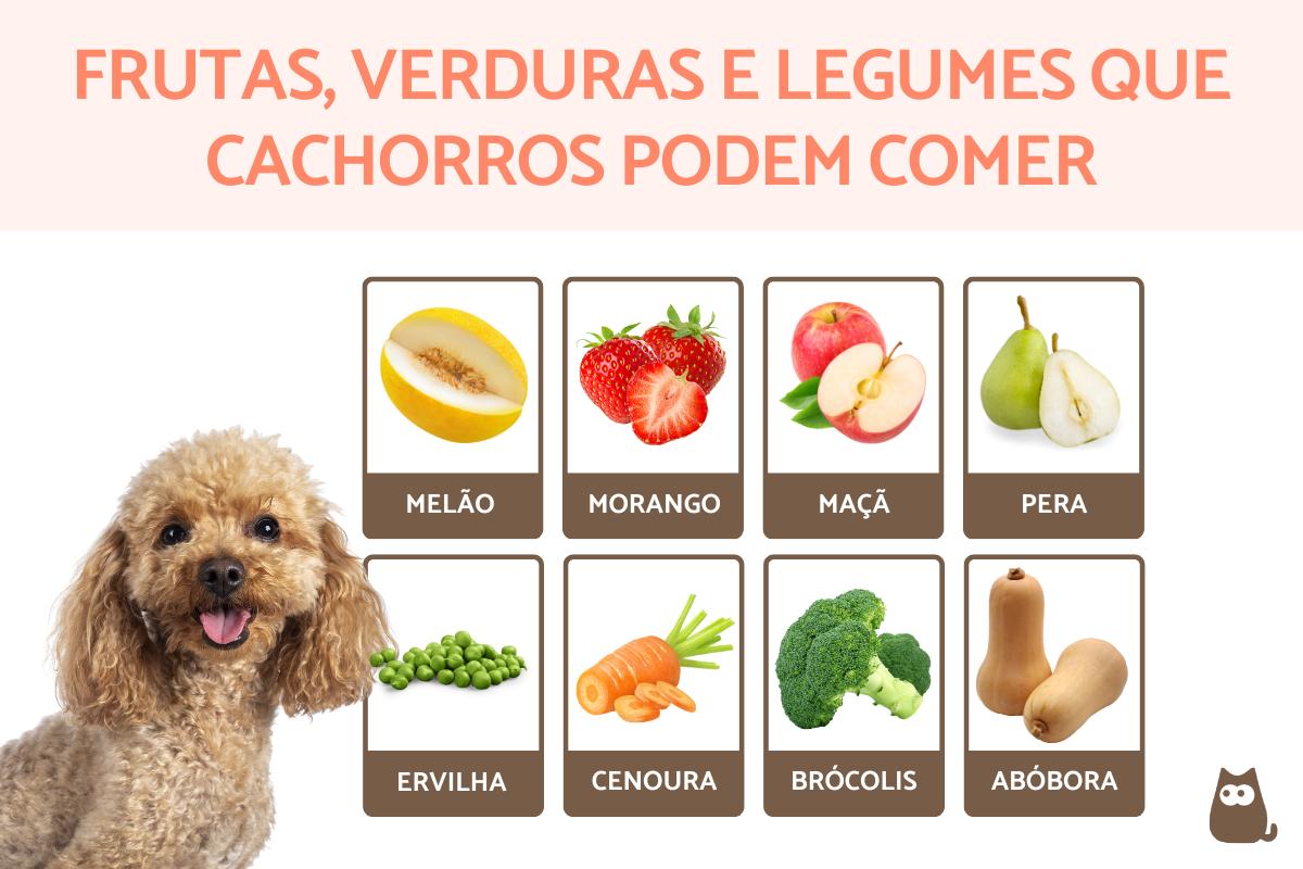 Legumes que seu cachorro pode comer: um guia completo