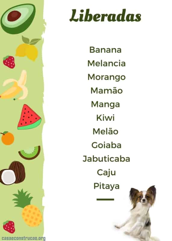 Como preparar frutas congeladas para cães no verão