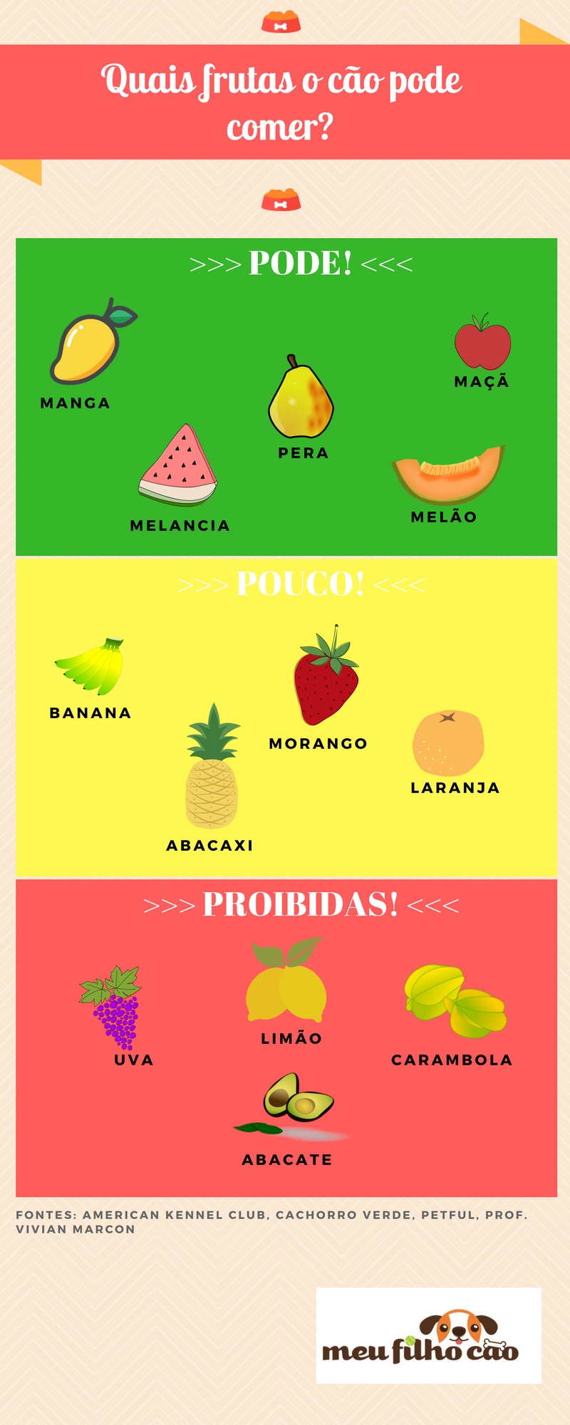 Sinais de intoxicação por frutas em cachorros: o que fazer?