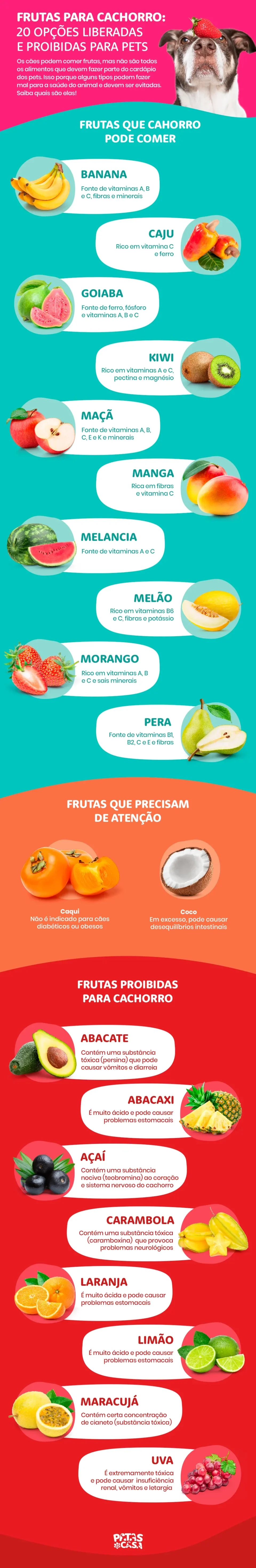 frutas que cachorros podem comer