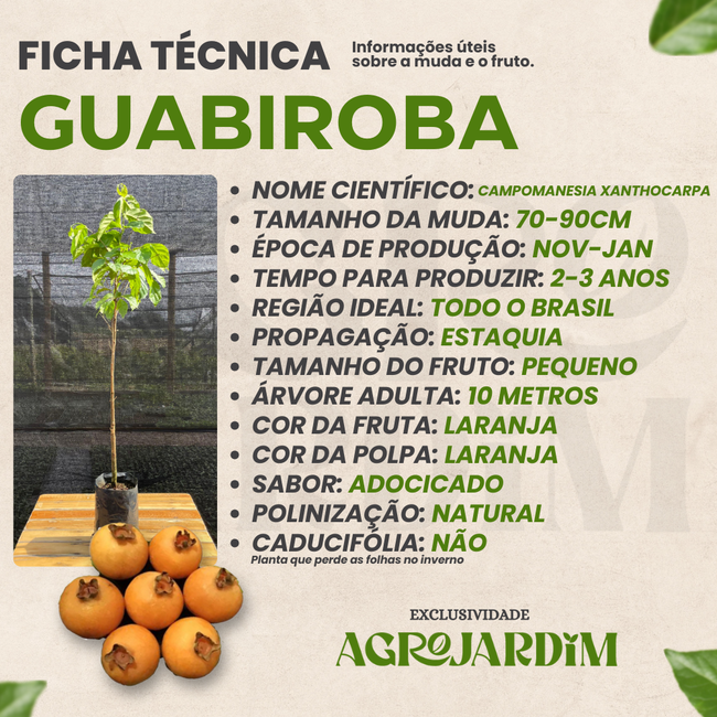 Geleias e Sobremesas