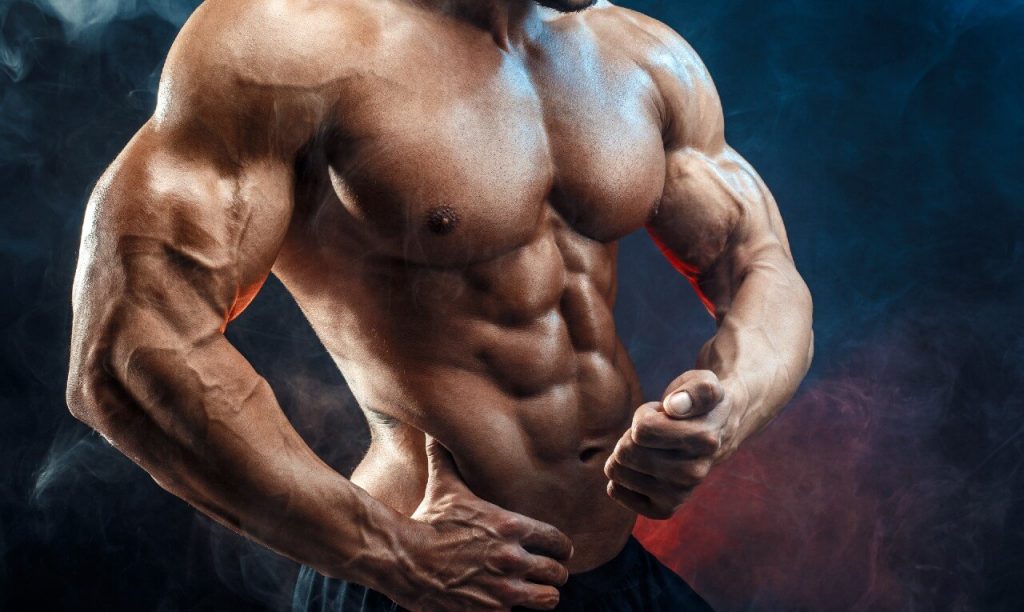 Guia Completo de Alimentação para Hipertrofia: O Que Comer para Ganhar Músculos