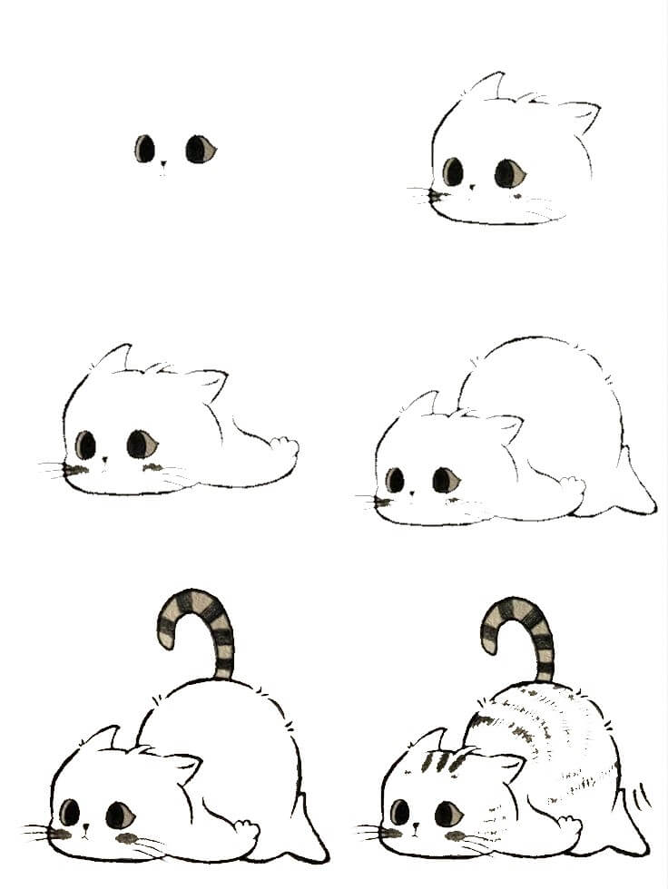 Os 7 Gatinhos Mais Fofos por Raça para Alegrar o Seu Dia