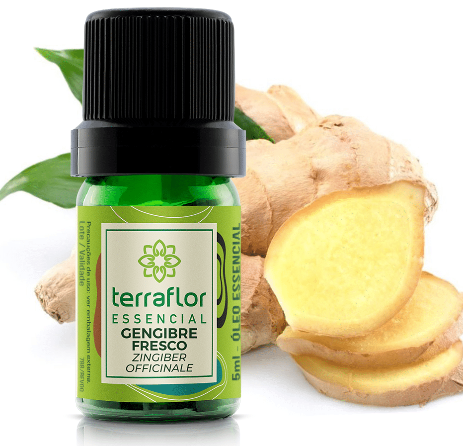 Gengibre vs. Outros Ingredientes Naturais: Qual o Melhor para Sua Pele?