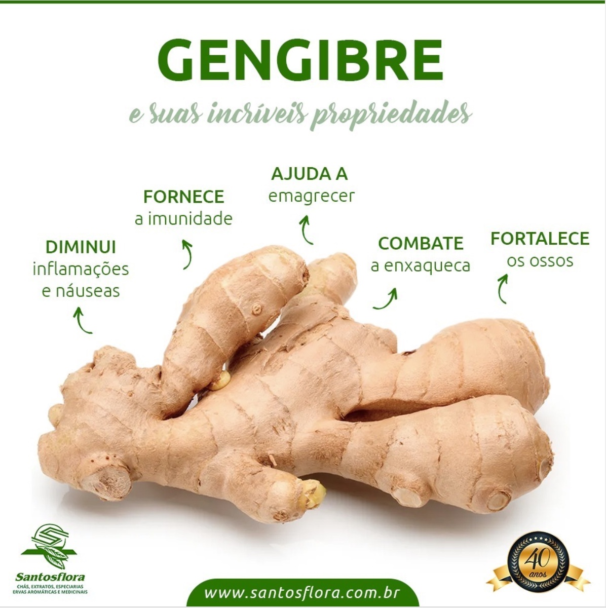 gengibre para que serve