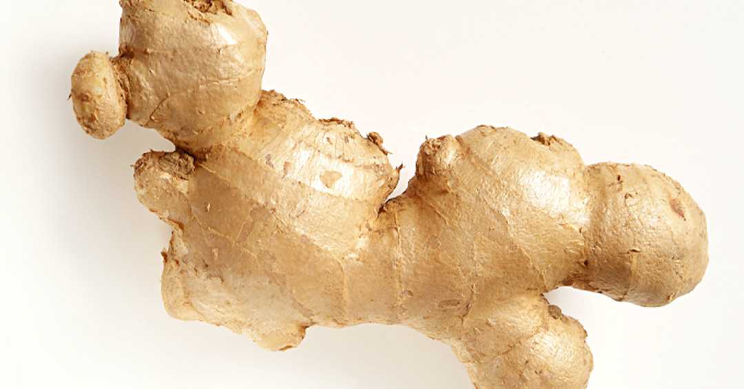 Como Fazer Suco de Gengibre Detox e Acelerar o Metabolismo
