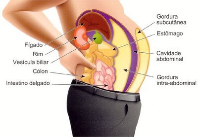 Hábitos de Vida Essenciais para Reduzir a Gordura Abdominal de Forma Duradoura