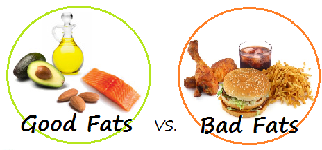 gordura boa e gordura ruim