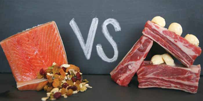 benefícios das gorduras insaturadas