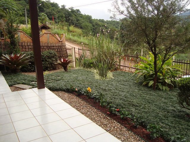 grama preta vs grama comum