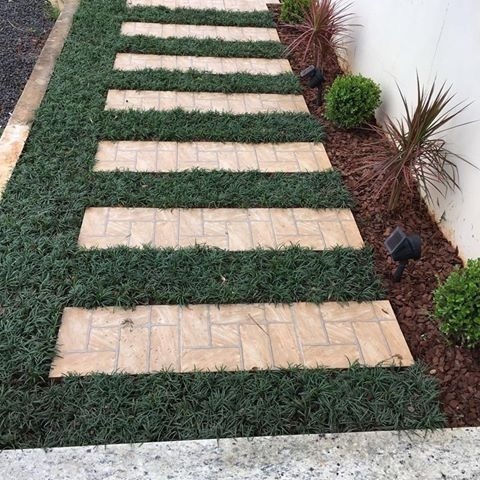 plantio grama preta youtube