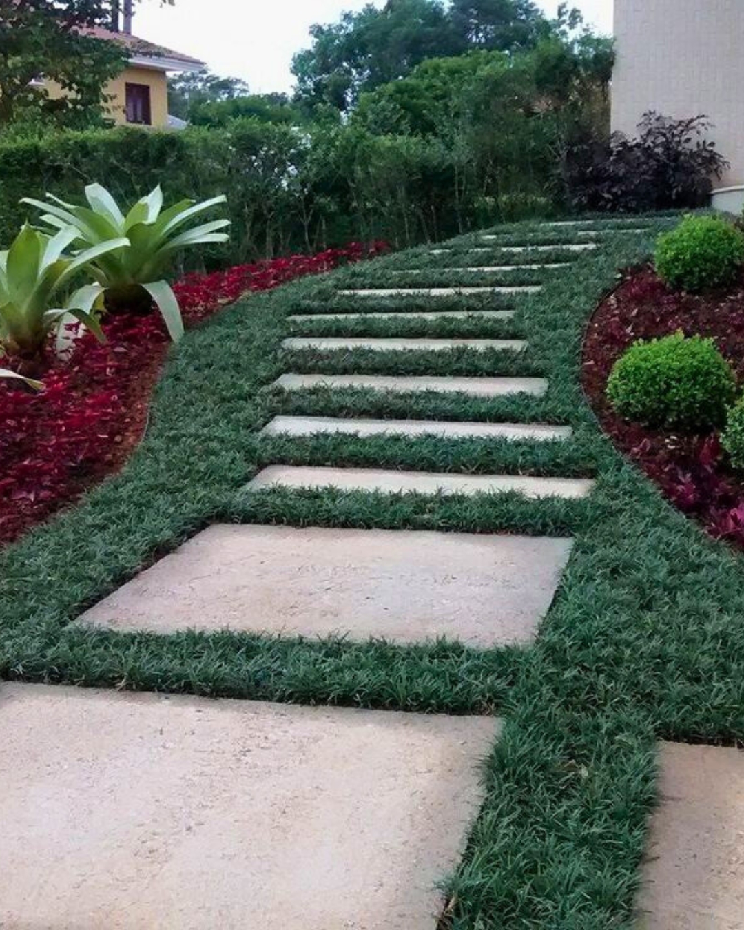 benefícios grama preta paisagismo