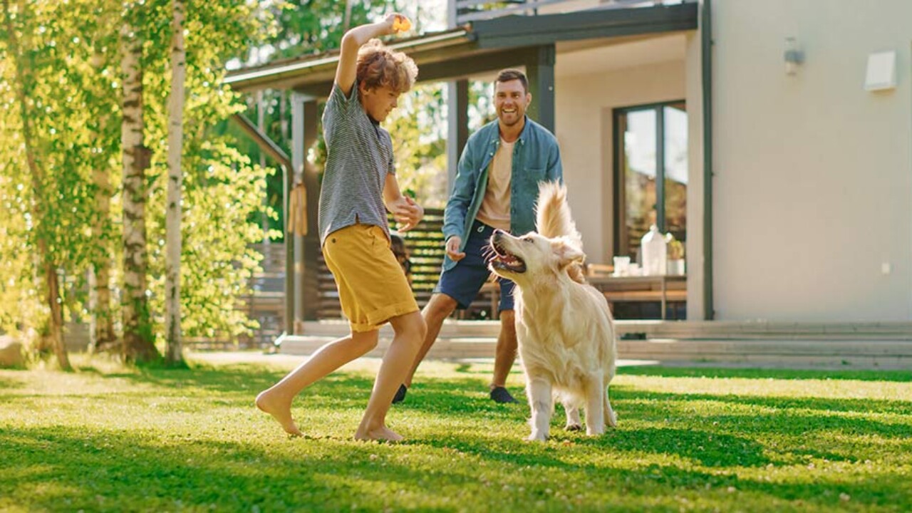preço grama sintética evento
