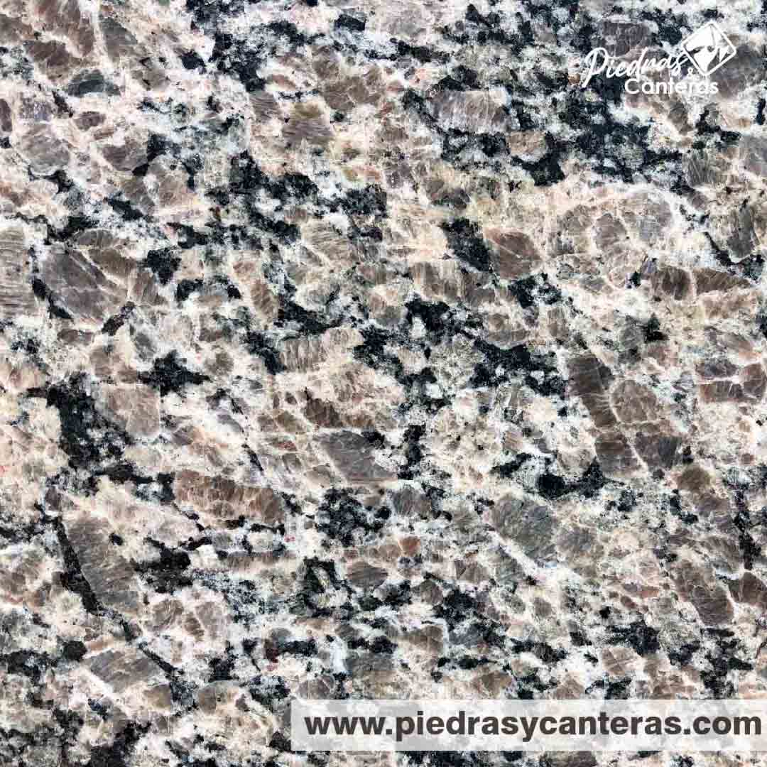 granito cinza andorinha características