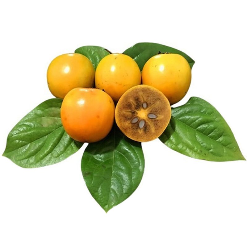 Os Incríveis Benefícios da Guabiroba para a Saúde: De Vitamina C a Antioxidantes