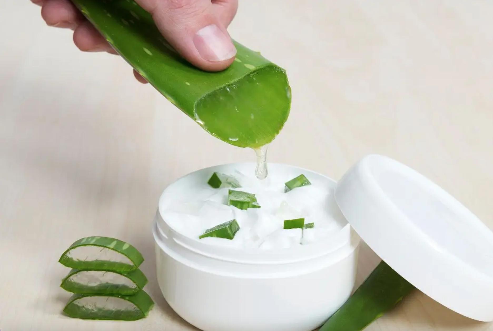 Como Remover a Aloína da Babosa Corretamente e Evitar Alergias